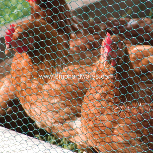 Poultry Netting For Chicken Run